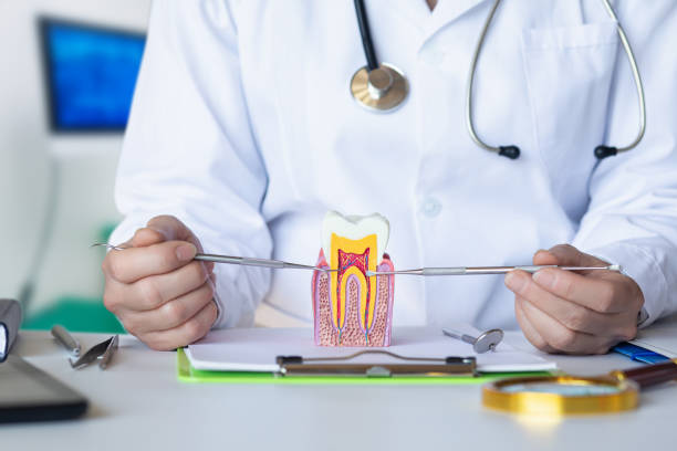 Best Emergency Root Canal Treatment in Miami Shores, FL